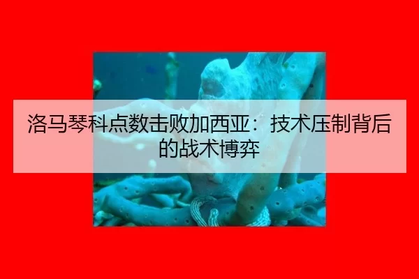 洛马琴科点数击败加西亚：技术压制背后的战术博弈