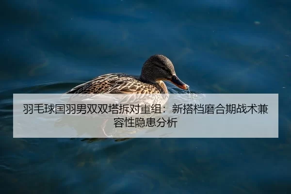 羽毛球国羽男双双塔拆对重组：新搭档磨合期战术兼容性隐患分析